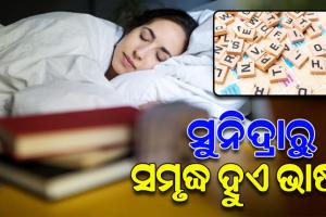 ଦୁଇ ରାତିର ସମ୍ପୂର୍ଣ୍ଣ ନିଦ ଦ୍ୱାରା ଆମ ଭାଷାରେ ଯୋଡ଼ି ହେଉଛି ଆଉ ଏକ ନୂତନ ଶବ୍ଦ: ୟୁନିଭର୍ସିଟି ଅଫ୍‌ ୟାର୍କ