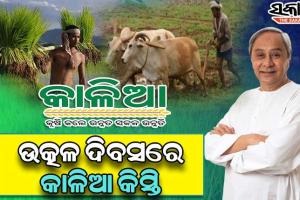 ଉତ୍କଳ ଦିବସରେ ଚାଷୀଙ୍କୁ ‘କାଳିଆ’ କିସ୍ତି ଅର୍ଥ ବଣ୍ଟନ କରିବେ ମୁଖ୍ୟମନ୍ତ୍ରୀ