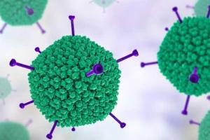 ବାଲେଶ୍ୱର ସୀମାବର୍ତ୍ତି ପଶ୍ଚିମବଙ୍ଗ ଅଞ୍ଚଳରେ ବ୍ୟାପୁଛି ଆଡେନୋ ଭୁତାଣୁ ସଂକ୍ରମଣ