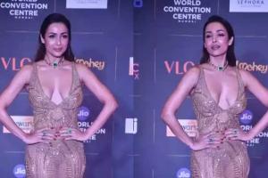 ବିବାହ ବନ୍ଧନରେ ବାନ୍ଧିହେବେ ମଲାଇକା