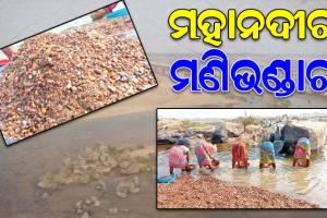 ମନମୁଣ୍ଡା ଠାରୁ ମଣିଭଦ୍ରା ମଧ୍ୟରେ ଥିବା ମହାନଦୀ ଶଯ୍ୟାରେ ଗଛିତ ରହିଛି ବହୁ ମୂଲ୍ୟବାନ ରତ୍ନ ପଥର !