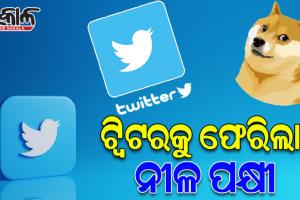 ପୁଣି ବଦଳିଲା ଟ୍ବିଟର ଲୋଗୋ: ହଟିଲା ‘ଡଗି’ ଫେରିଲା ‘ନୀଳ ପକ୍ଷୀ’