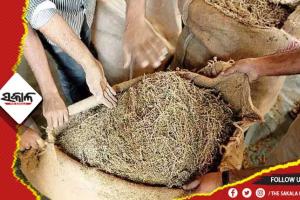 ଟ୍ରକରୁ ଜବତ ହେଲା ୫୦ଲକ୍ଷ ଟଙ୍କାର ଗଞ୍ଜେଇ, ମାଫିଆ ଫେରାର