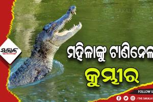 ବାସନ ମାଜିବା ବେଳେ ମହିଳାଙ୍କୁ ଟାଣିନେଲା କୁମ୍ଭୀର