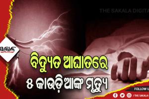 ବିଦ୍ୟୁତ ତାର ସଂସ୍ପର୍ଶରେ ଆସି ୫ କାଉଡିଆଙ୍କ ମୃତ୍ୟୁ, ୫ ଗୁରୁତର