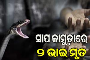 ଶୋଇଥିବାବେଳେ ସାପ କାମୁଡ଼ାରେ ଦୁଇ ଭାଇ ମୃତ