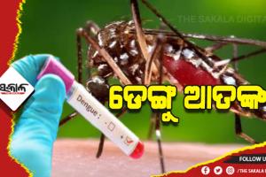 ରାଜ୍ୟରେ ଡରାଇଲାଣି ଡେଙ୍ଗୁ: ବିଭିନ୍ନ ଜିଲ୍ଲାରୁ ଚିହ୍ନଟ ହେଲେଣି ୧୮୫ ଆକ୍ରାନ୍ତ