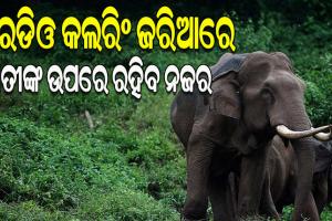 рм╣рм╛рмдрнАрмЩрнНрмХ рмжрнЗрм╣рм░рнЗ рм╣рнЗрмм тАШрм░рнЗрмбрм┐рмУ рмХрм▓рм░рм┐рмВтАЩ; рм╕рм╛рмЯрнЗрм▓рм╛рмЗрмЯрнНтАМтАМрм░рнБ рмЧрмдрм┐рммрм┐рмзрм┐ рмЬрм╛рмгрм┐рммрм╛рмХрнБ рммрми рммрм┐рмнрм╛рмЧрм░ рм╕рнНрммрмдрмирнНрмдрнНрм░ рмпрнЛрмЬрмирм╛