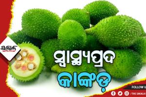 ସ୍ବାସ୍ଥ୍ୟ ପାଇଁ ଲାଭଦାୟକ କାଙ୍କଡ଼, ରହିଛି ଅନକ ପ୍ରକାର ଔଷଧୀୟ ଗୁଣ