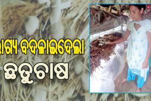 ଛତୁ ଚାଷରୁ ସ୍ବାବଲମ୍ବୀ: ନିଜେ ପଢିପାରି ନଥିଲେ, ଏବେ ଭାଇଭଉଣୀଙ୍କୁ ଆର୍ଥିକ ସହଯୋଗ କରିବା ସହ ଝିଆରୀକୁ କରାଇପାରିଛନ୍ତି ଉଚ୍ଚଶିକ୍ଷିତ