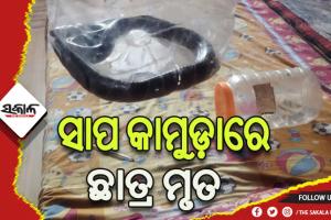 ବିଷାକ୍ତ ସାପ କାମୁଡ଼ାରେ ଜଣେ ଅନ୍ତେବାସୀ ମୃତ, ଆଉ ଜଣେ ଛାତ୍ର ଗୁରୁତର