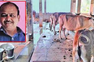 ନିଜେ ଆତ୍ମନିର୍ଭରଶୀଳ ହେବା ସହ ୧୦ରୁ ଅଧିକ ପରିବାରଙ୍କୁ ରୋଜଗାରକ୍ଷମ କରାଇ ପାରିଛନ୍ତି ଡିଗ୍ରୀଧାରୀ ଗୋଚାଷୀ ପ୍ରିୟଦର୍ଶନ