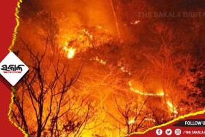 ଆମେରିକା ଜଙ୍ଗଲରେ ନିଆଁ, ୬୭ ମୃତ