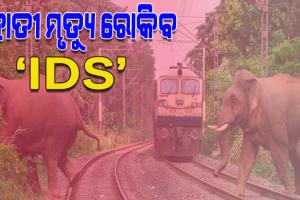 рм░рнЗрм│ рмзрмХрнНрмХрм╛рм░рнБ рм╣рм╛рмдрнАрмЩрнНрмХрнБ рм╕рнБрм░рмХрнНрм╖рм╛ рмжрнЗрмм рмЖрмЗрмбрм┐рмПрм╕рнНтАМтАМ, рмЯрнНрм░рм╛рмХрмХрнБ рмЖрм╕рнБрмерм┐рммрм╛ рммрмгрнБрмЖ рм╣рм╛рмдрнАрмХрнБ рмЪрм┐рм╣рнНрмирмЯ рмХрм░рм┐ рмЕрмзрм┐рмХрм╛рм░рнАрмЩрнНрмХрнБ рмХрм░рм╛рмЗрмм рм╕рмдрм░рнНрмХ