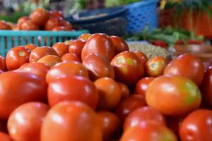 ଆଜିଠାରୁ ଟମାଟୋ କିଲୋ ପିଛା ୫୦ ଟଙ୍କାରେ ବିକିବେ ସରକାର