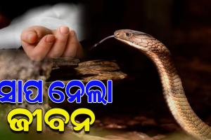 ଘରେ ଶୋଇଥିବାବେଳେ ସାପ କାମୁଡ଼ାରେ ମା’ ଓ ଝିଅ ମୃତ
