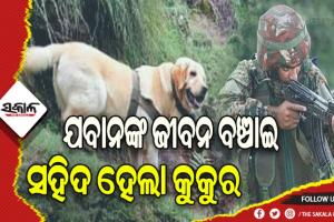 ଯବାନଙ୍କ ଜୀବନ ବଞ୍ଚାଇ ସହିଦ ହେଲା କୁକୁର