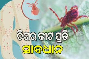 ସାବଧାନ! ମାତିଛି ସ୍କ୍ରବ ଟାଇଫସ, ଜ୍ବର ନ ଛାଡିଲେ ଯଥାଶୀଘ୍ର କରାନ୍ତୁ ପରୀକ୍ଷା