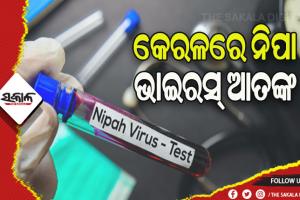 କେରଳରେ ନିପା ଭାଇରସ ଆତଙ୍କ, ପୁଣି ଚିହ୍ନଟ ହେଲେ ଆଉ ଜଣେ ଆକ୍ରାନ୍ତ