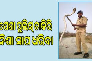 ଶତାଧିକ ସାପ ଧରି ଚର୍ଚ୍ଚାରେ ପୁଲିସ୍ ବାବୁ, ସାପ ବାହାରିଛି ଖବର ପାଇଲେ ପହଞ୍ଚି ଯାଆନ୍ତି ନିଜ ସରଞ୍ଜାମ ଧରି ….