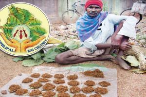 ମୟୂରଭଞ୍ଜ ପାଇବ ଆଉ ଏକ ସ୍ୱିକୃତୀ: ଶିମିଳିପାଳ କାଇ ଚଟଣୀ ଜିଆଇ ଟ୍ୟାଗ ପାଇଁ ଜୋନାଲ ସ୍ତରରେ ମନୋନୀତ