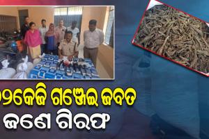 ପିକପ୍ ଭ୍ୟାନରେ ସିକ୍ରେଟ ଚ୍ୟାମ୍ବର କରି ହେଉଥିଲା ଗଞ୍ଜେଇ ଚାଲାଣ; ମାଡିବସିଥିଲା ଅବକାରୀ ବିଭାଗ, ଜଣେ ଗିରଫ