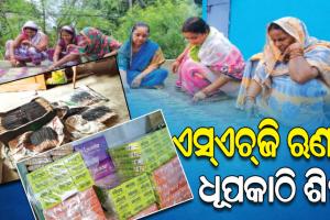 ପ୍ରଗତି ଆଣିଛି ମିଶନ ଶକ୍ତି; ଋଣ ଟଙ୍କାରେ ଧୂପକାଠି ତିଆରି କରି ନିଜେ ସ୍ୱାବଲମ୍ୱୀ ହେବା ସହ ଅନ୍ୟଙ୍କୁ ରୋଜଗାରକ୍ଷମ କରାଇ ପାରିଛନ୍ତି ଝୁଲଣା