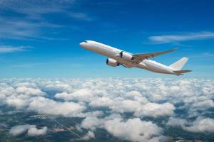 ମଝି ଆକାଶରେ ଜୀବନ ବଞ୍ଚାଇଲେ ଓଡ଼ିଆ ଫିଜିଓଥେରାପିଷ୍ଟ, ଏୟାରଲାଇନ୍‌ ପକ୍ଷରୁ ମିଳିଲା ପ୍ରଶଂସା ପତ୍ର