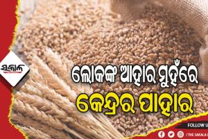 ଲୋକଙ୍କ ଆହାର ମୁହଁରେ କେନ୍ଦ୍ରର ପାହାର: ଛଅ ମାସ ହେଲା ଗହମ ଯୋଗାଣ ବନ୍ଦ, ଭୁବନେଶ୍ୱର ମହାନଗର ନିଗମ ଅଞ୍ଚଳର ୩ ଲକ୍ଷ ଖାଉଟି ହନ୍ତସନ୍ତ