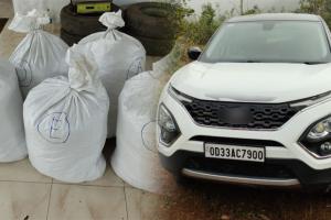 କାର ସହ ୧୦୧ କିଲୋ ଗଞ୍ଜେଇ ଜବତ, ଡ୍ରାଇଭର ଫେରାର୍