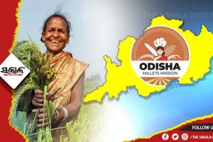 ଆଜିଠାରୁ ଦୁଇଦିନିଆ ମିଲେଟ୍‌‌ ଅନ୍ତର୍ଜାତୀୟ ସମ୍ମିଳନୀ, ଉଦ୍‌‌ଘାଟନ କରିବେ ମୁଖ୍ୟମନ୍ତ୍ରୀ