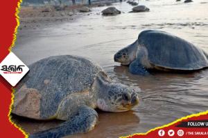 ୭ ମାସ ପର୍ଯ୍ୟନ୍ତ ମାଛଧରା ଉପରେ ଲାଗିଲା କଟକଣା