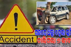 ବାହାଘର ଭୋଜି ଖାଇ ଫେରିବାବେଳେ ଗଛରେ ପିଟି ହେଲା ସ୍କର୍ପିଓ; ୬ ମୃତ