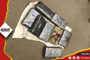 ପାରାଦୀପରେ ଲାଗିଥିବା ଜାହାଜରୁ ମିଳିଲା ୨୨ ପ୍ୟାକେଟ କୋକେନ୍