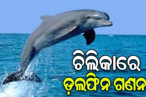 рмЪрм┐рм▓рм┐рмХрм╛рм░рнЗ рмЪрм╛рм▓рм┐рмЫрм┐ рмбрм╝рм▓рмлрм┐рми рмЧрмгрмирм╛, рнзрнормЯрм┐ рмЯрм┐рморнН рмирм┐рнЯрнЛрмЬрм┐рмд