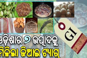 କାଇ ଚଟଣୀ ଓ କଣ୍ଟେଇମୁଣ୍ଡି ବାଇଗଣ ସମେତ ଓଡ଼ିଶାର ଆଉ ୭ ଉତ୍ପାଦକୁ ମିଳିଲା ଜିଆଇ ଟ୍ୟାଗ୍‌