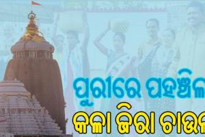 ଶାବର ଶ୍ରୀକ୍ଷେତ୍ରରୁ ଆସି ପୁରୀରେ ପହଞ୍ଚିଲା କଳାଜିରା ଚାଉଳ, ସୁଗନ୍ଧରେ ମହକିବ ବଡ଼ ଠାକୁରଙ୍କ ରୋଷଶାଳା