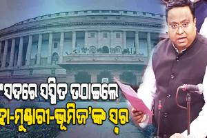 ହୋ, ମୁଣ୍ଡାରୀ ଓ ଭୂମିଜ ଜନଜାତୀୟ ଭାଷାକୁ ସମ୍ବିଧାନର ଅଷ୍ଟମ ପରିଚ୍ଛେଦରେ ସାମିଲ ପାଇଁ ପୁଣି ସ୍ୱର ଶାଣିତ କଲେ ବିଜେଡି ସାଂସଦ