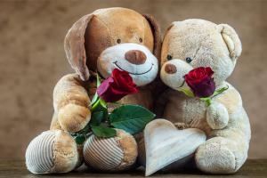 ଭାଲେଣ୍ଟାଇନ୍ସ ସପ୍ତାହ: ଟେଡିରେ ହୁଏ ସମ୍ପର୍କ ନିବିଡ଼