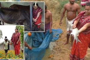 ସମନ୍ୱିତ କୃଷି ଦେଲା ପରିଚୟ, ଚାଷ କରି ସ୍ୱାବଲମ୍ୱୀ ହେଲେ ମିତା ମହାକୁର