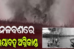 рмЪрм┐рм▓рм┐рмХрм╛ рмирм│рммрмгрм░рнЗ рмнрнЯрм╛рммрм╣ рмЕрмЧрнНрмирм┐рмХрм╛рмгрнНрмб