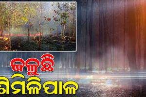 ଶିମିଳିପାଳ ଅଭୟାରଣ୍ୟର ୧୩ଟି ସ୍ଥାନରେ ଲାଗିଛି ନିଆଁ, ଆୟତ୍ତ କରିବାକୁ ବନବିଭାଗର ଉଦ୍ୟମ ଜାରି