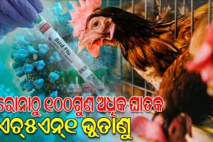 କୋଭିଡ୍‌ଠାରୁ ୧୦୦ଗୁଣ ମାରାତ୍ମକ ଏଚ୍‌୫ଏନ୍‌୧ ବାର୍ଡ ଫ୍ଲୁ ଭୂତାଣୁ
