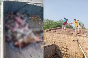 ପିଇବା ପାଣି ଟାଙ୍କିରୁ ୩୦ ମାଙ୍କଡଙ୍କ ମୃତଦେହ ଉଦ୍ଧାର