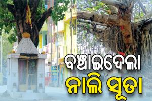 ବିଶ୍ୱାସରେ ବନ୍ଧା ପରିବେଶ, ଗଛ ପାଇଁ ଯୋଜନା ସହ ବଦଳୁଛି ରାସ୍ତା ମୋଡ଼