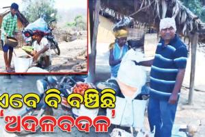 ପ୍ରତିପୋଷଣ ପାଇଁ ‘ଅଦଳବଦଳ’ ପ୍ରଥାକୁ ଆଜି ମଧ୍ୟ ବଞ୍ଚାଇ ରଖିଛନ୍ତି ମାଲକାନଗିରି ଜିଲ୍ଲାର କିଛି ଆଦିବାସୀ ସମ୍ପ୍ରଦାୟ