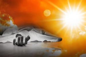 ଧାନ ବିଲରେ କାମ କରୁଥିବା ବେଳେ ଅଂଶୁଘାତରେ ଚାଲିଗଲା ଜୀବନ !