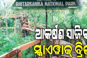 ଅଗଷ୍ଟ ୧ରୁ ପର୍ଯ୍ୟଟକଙ୍କ ପାଇଁ ଖୋଲିବ ଭିତରକନିକା, ଆକର୍ଷଣ ସାଜିବ ସ୍କାଏୱାକ୍‌‌ ବ୍ରିଜ