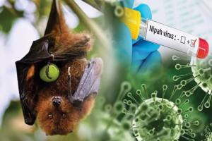 କେରଳରେ ପୁଣି ବ୍ୟାପୁଛି ନିପା ଭୂତାଣୁ, ଜଣେ ୧୪ ବର୍ଷୀୟ ବାଳକ ସଂକ୍ରମିତ