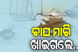 ରୋଷେଇ ହେଉଥିଲା କଲରାପତରିଆ ମାଂସ, ରନ୍ଧା ମାଂସ ସହ ବାଘ ଚମଡ଼ା ଜବତ